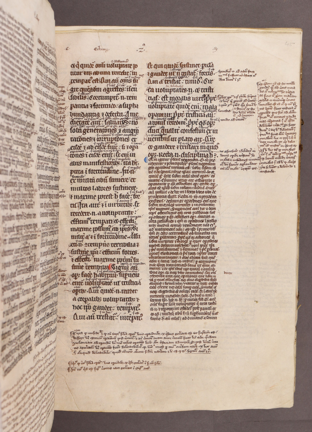 Folio 45 recto